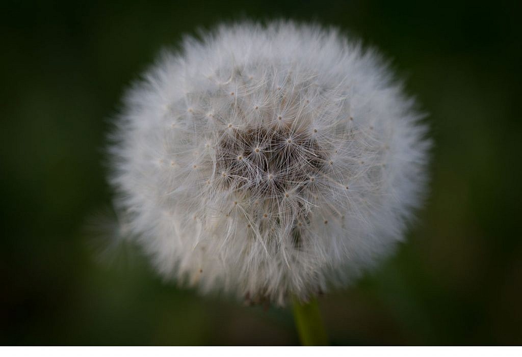 Wohnform nach der Trennung - Nestmodell